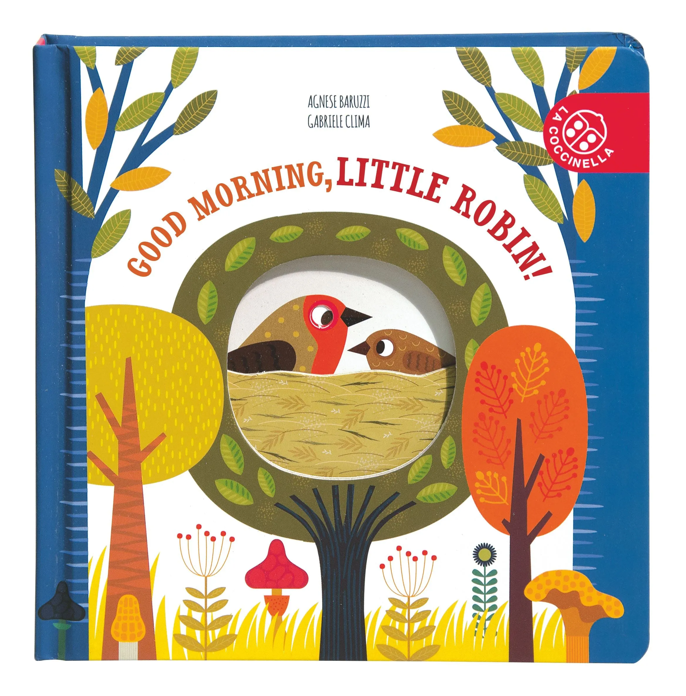 Book - Good Morning Little Robin